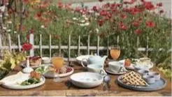 The Orchid Cafe
